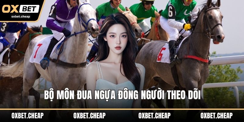 Bộ môn đua ngựa đông người theo dõi