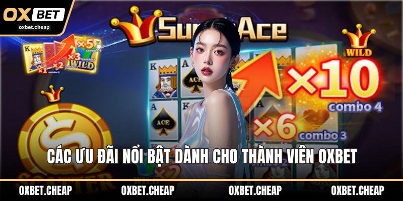 Các ưu đãi nổi bật dành cho thành viên OXBET
