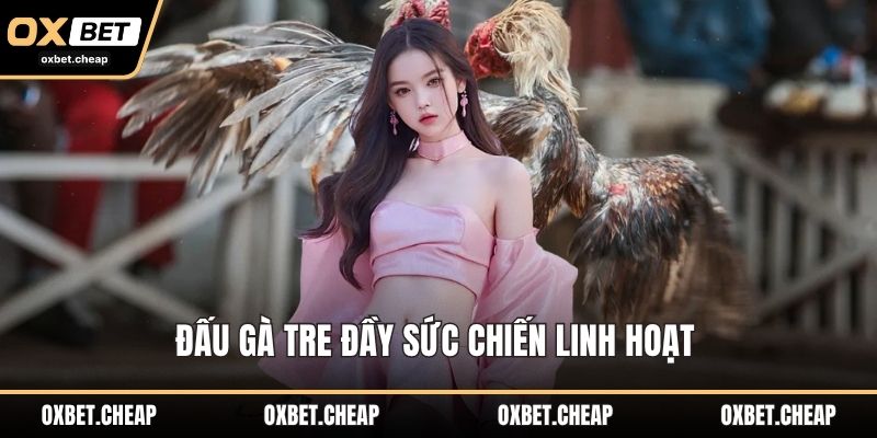 Đấu gà tre đầy sức chiến linh hoạt
