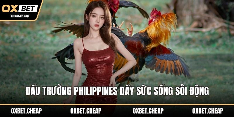 Đấu trường Philippines đầy sức sống sôi động