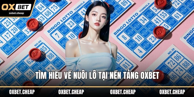 Tìm hiểu về nuôi lô tại nền tảng OXBET